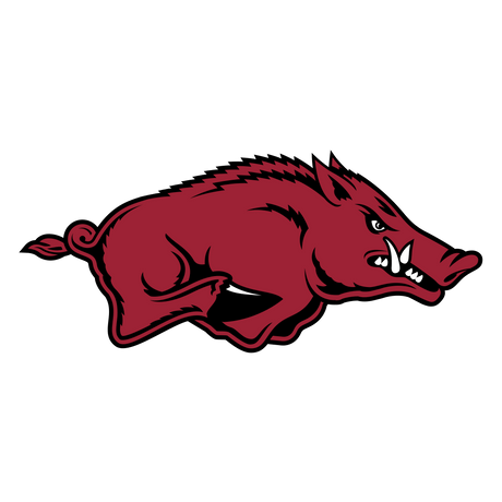 Arkansas Razorbacks Memorabilia