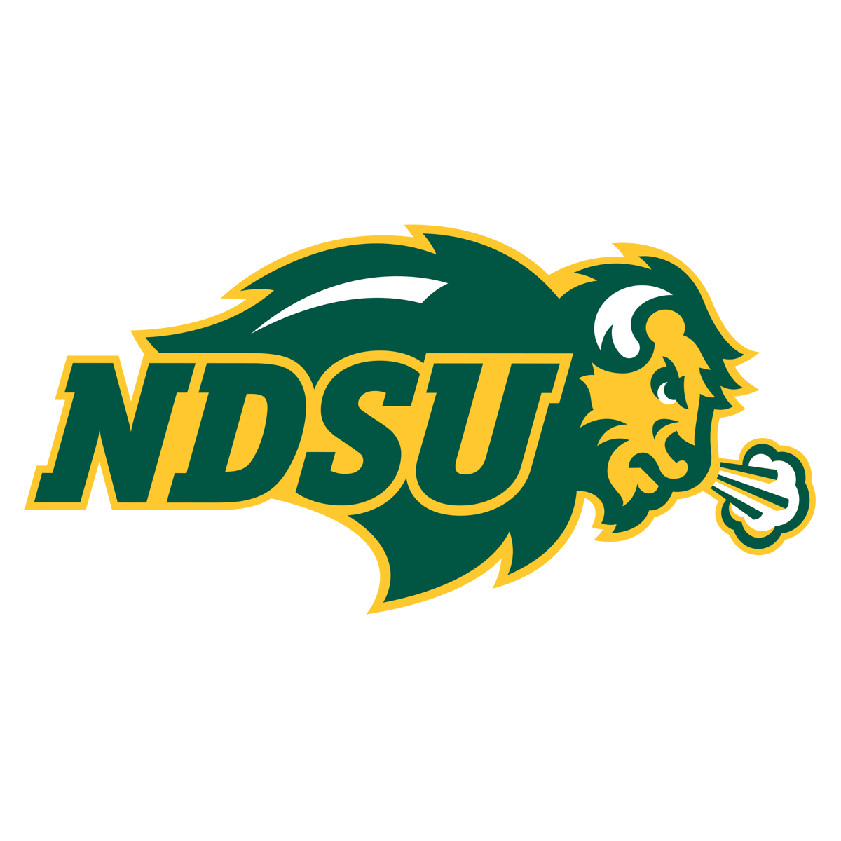 North Dakota State Bison Memorabilia