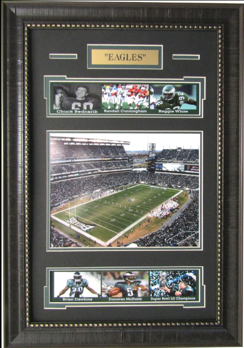 Philadelphia Eagles Framed Art 16" x 23" 7-Photograph Player Collage