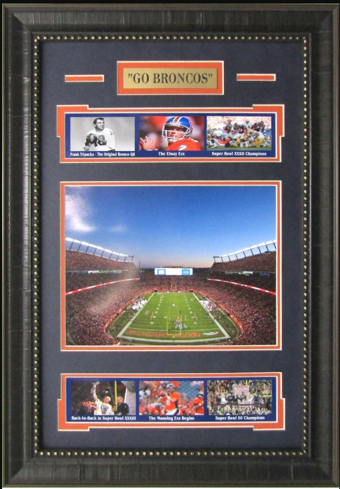 Go Broncos Denver Broncos Framed Art 16" x 23" 7-Photograph Player Collage