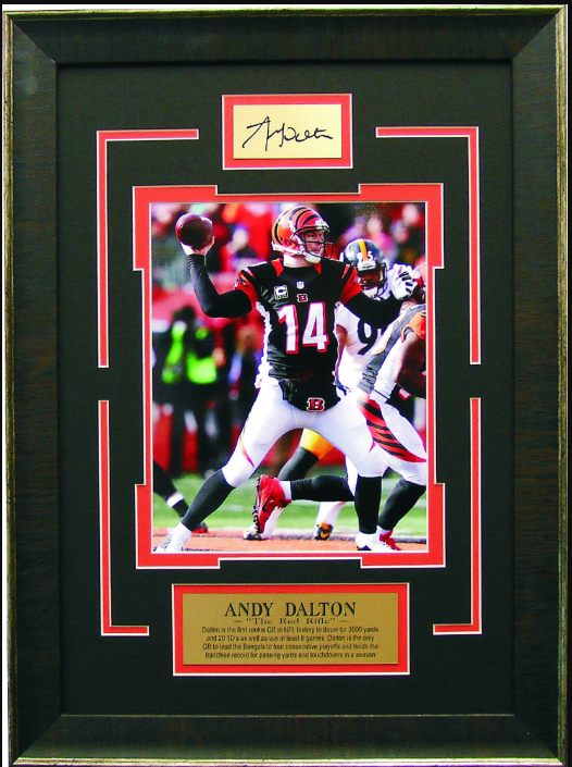 Andy Dalton Cincinnati Bengals Framed Art 15.5" x 21" Photograph with Facsimile Autographed Plate