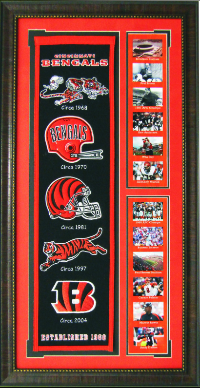 Cincinnati Bengals Team Logos on Felt Banner Framed Art 19" X 38.5" Player Photo Collage