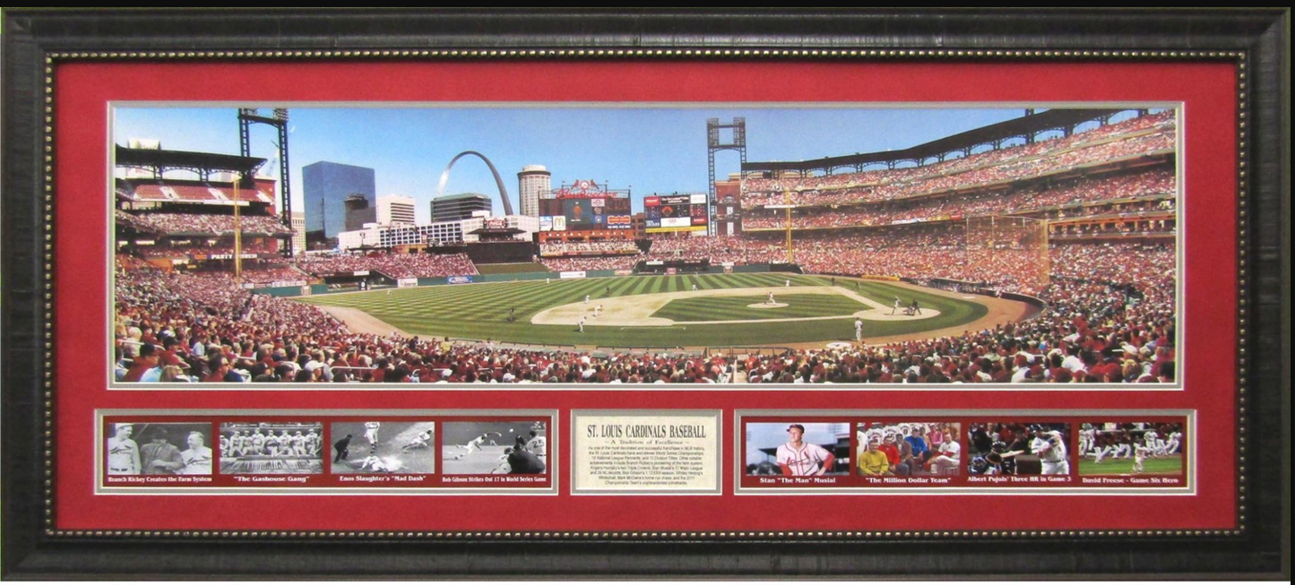 St. Louis Cardinals Baseball Framed Art 19" x 43" 9-Photograph Player Collage