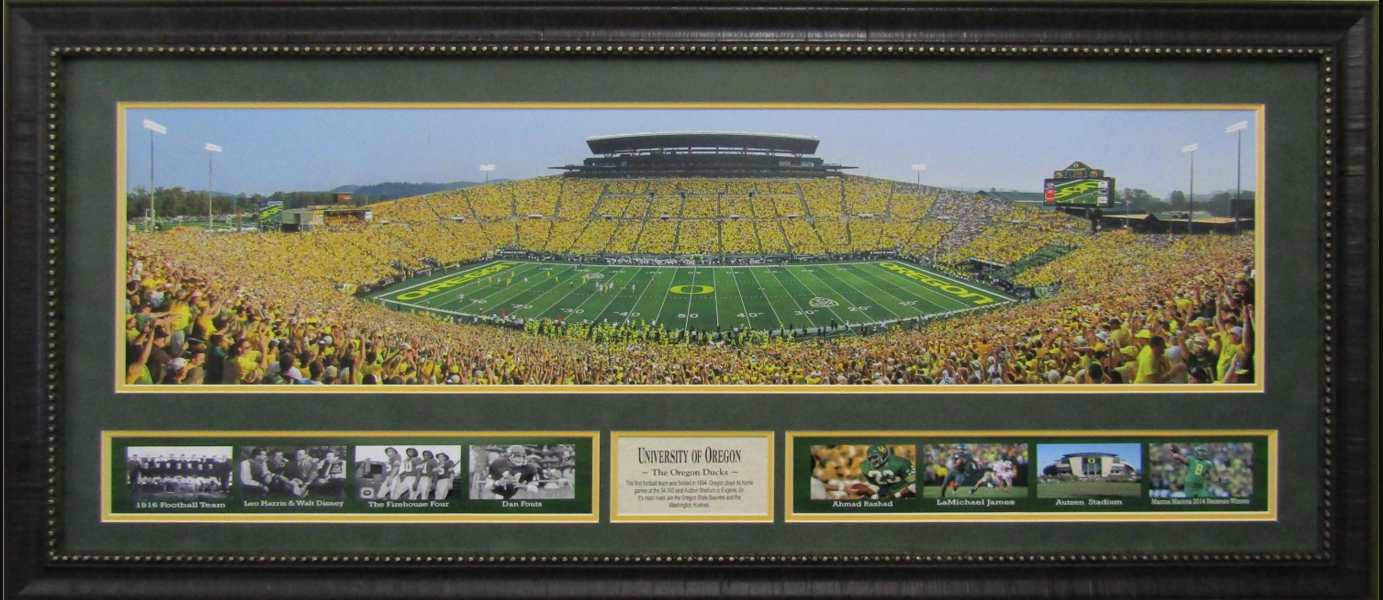 Oregon Ducks Autzen Stadium Framed Art 19" x 43" 9-Photograph Collage