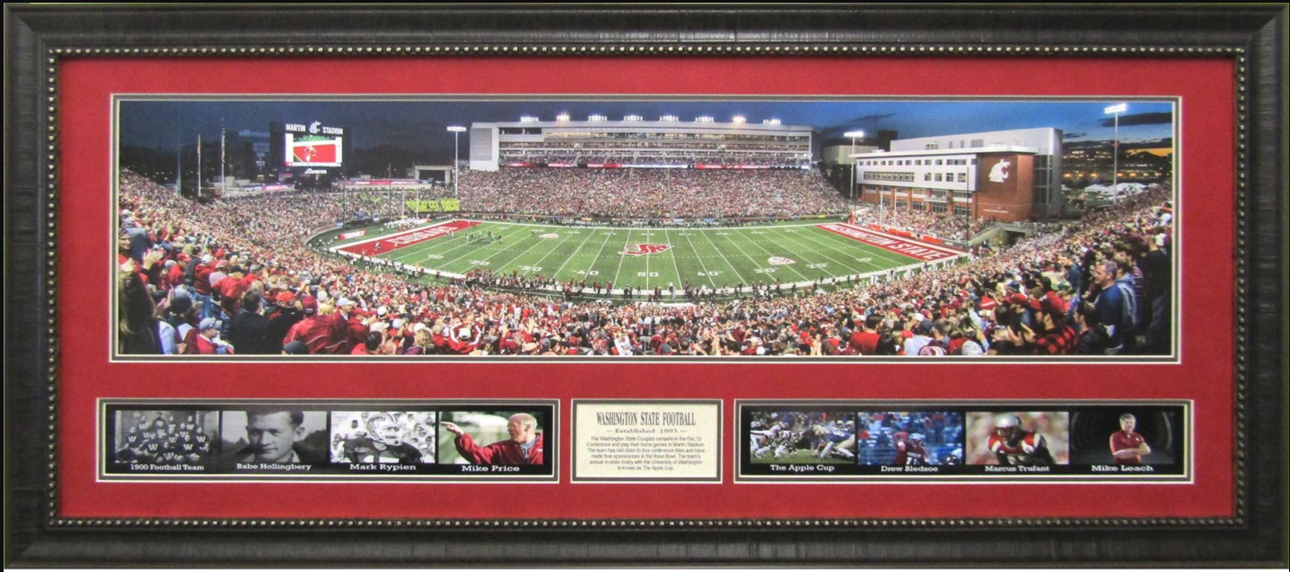 Washington State Cougars Martin Stadium Framed Art 19" x 43" 9-Photograph Collage