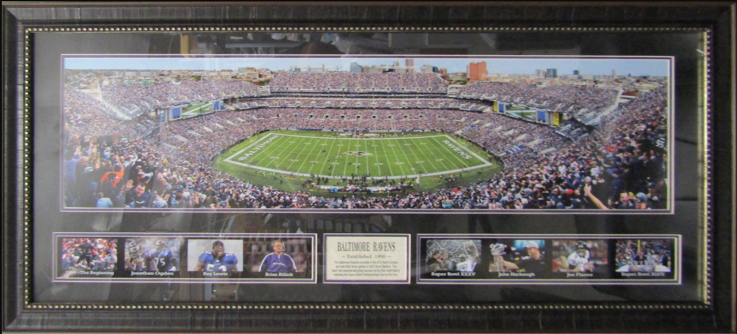 Baltimore Ravens M&T Bank Stadium Framed Art 19" x 43" 9-Photograph Collage