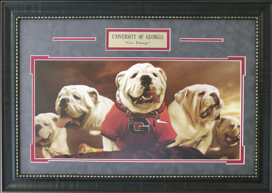 Go Dawgs University of Georgia Bulldogs Uga Mascot Photo Framed Art 18.25" x 26"