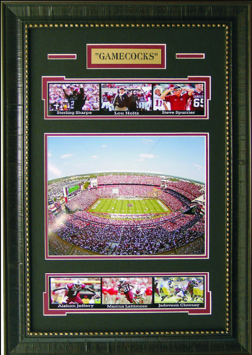 South Carolina Gamecocks Williams-Brice Stadium 16" x 23" Framed Art 7-Photograph Collage