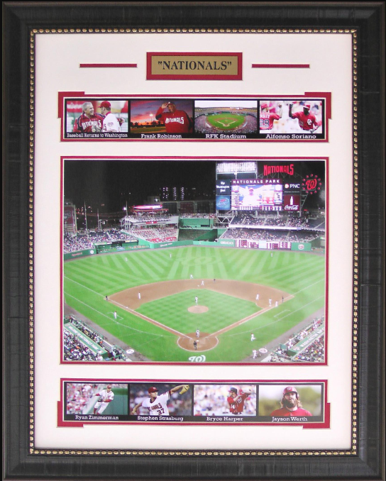 Washington Nationals Park Framed Art 20" x 25.5" 9-Photograph Collage