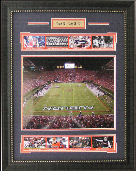 Auburn Tigers Jordan-Hare Stadium Framed Art 20" x 25.5" 9-Photograph Player Collage