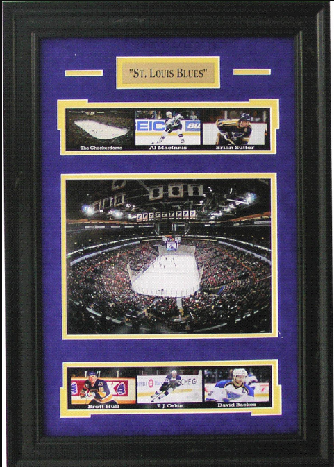 St. Louis Blues Framed Art 16" x 23" Player Photograph Collage