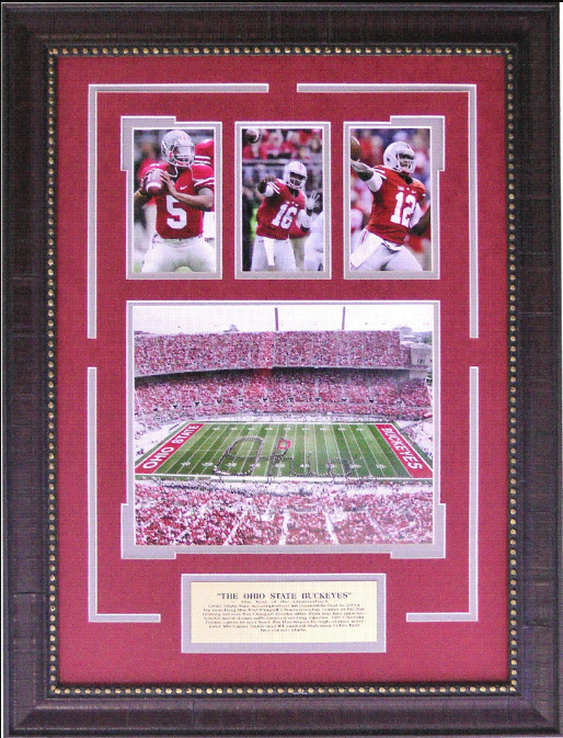 Ohio State Buckeyes Ohio Stadium Framed Art 18" x 23.75" 4-Photograph Player Collage