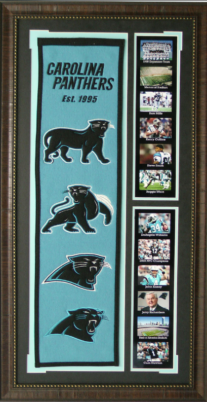 Carolina Panthers Team Logos on Felt Banner Framed Art 19" X 38.5" Player Photo Collage