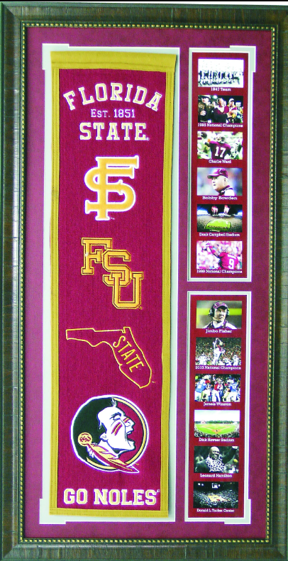 Florida State Seminoles Team Logos on Felt Banner Framed Art 19" X 38.5" Player Photo Collage