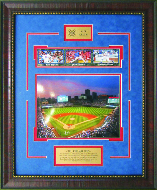 Go Cubs Chicago Cubs Framed Art 19" x 23" 4-Photograph Collage