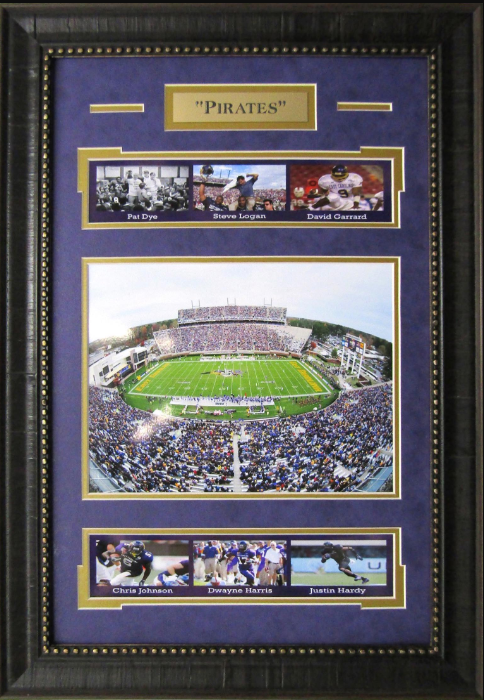 East Carolina Pirates Dowdy–Ficklen Stadium 16" x 23" Framed Art 7-Photograph Collage