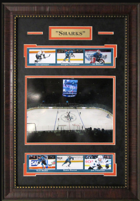 San Jose Sharks Framed Art 16" x 23" Player Photograph Collage