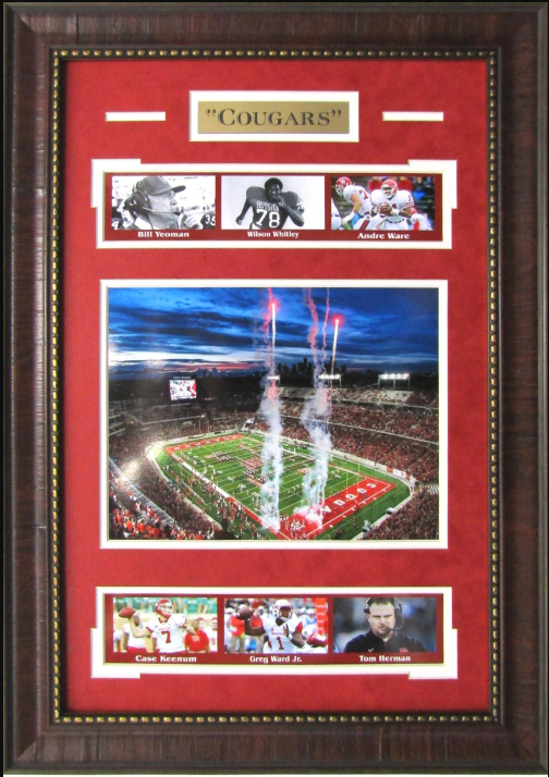 Houston Cougars TDECU Stadium Framed Art 16" x 23" 7-Photograph Player Collage