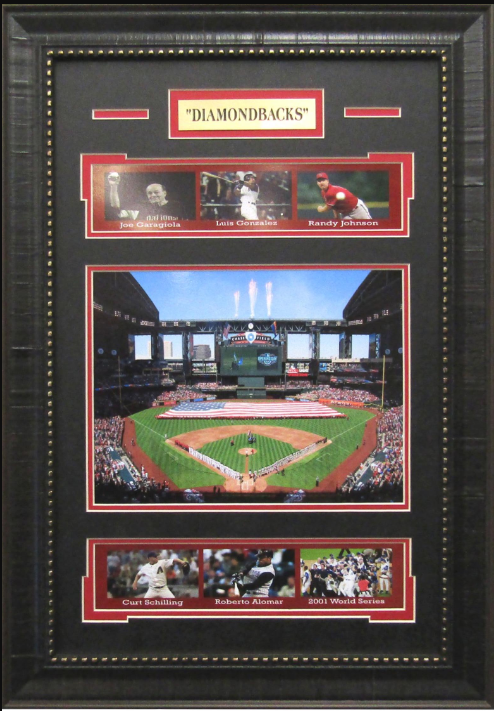 Arizona Diamondbacks Framed Art 16" x 23" 7-Photograph Collage