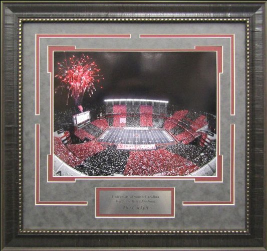 University of South Carolina Gamecocks Williams-Brice Stadium Photograph 21" x 22" Framed Art