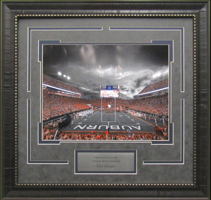 Auburn Tigers The Jungle Jordan-Hare Stadium Photograph Framed Art 21" x 22"