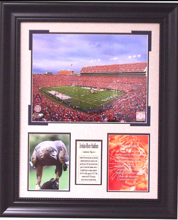 War Eagle Auburn Tigers Jordan-Hare Stadium Framed Art 20" x 24" Photograph Collage