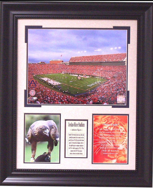 War Eagle Auburn Tigers Jordan-Hare Stadium Framed Art 20" x 24" Photograph Collage